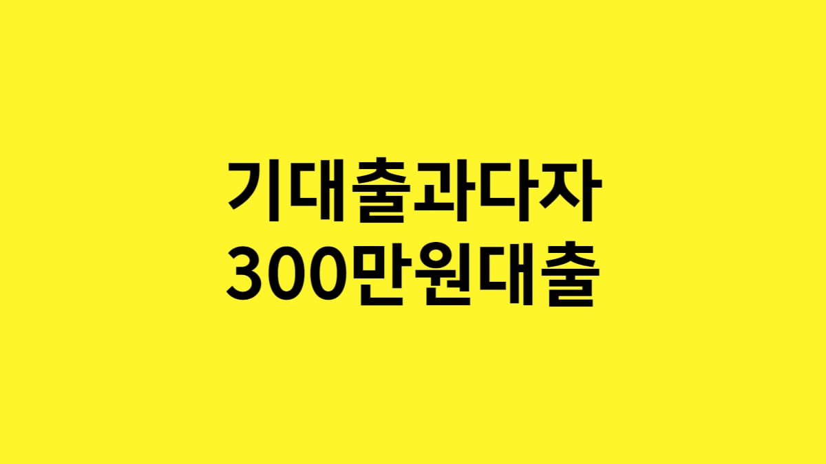 기대출 과다자 300만원 대출