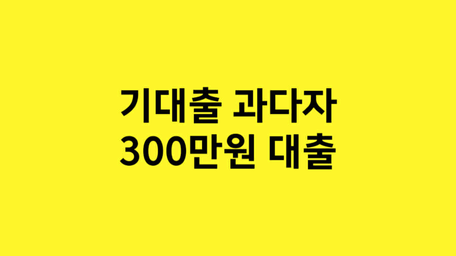 기대출 과다자 300만원 대출