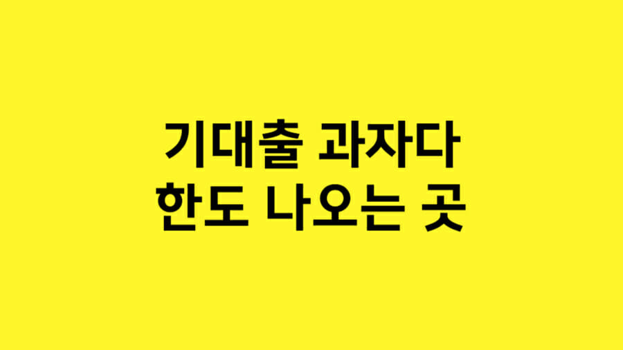 기대출 과다자 한도 나오는 곳