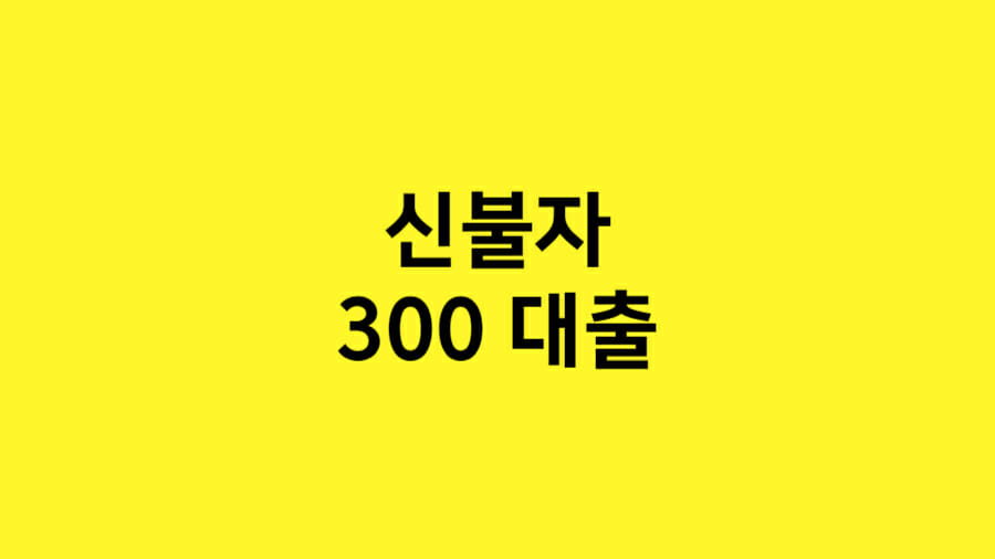 신불자 300 대출