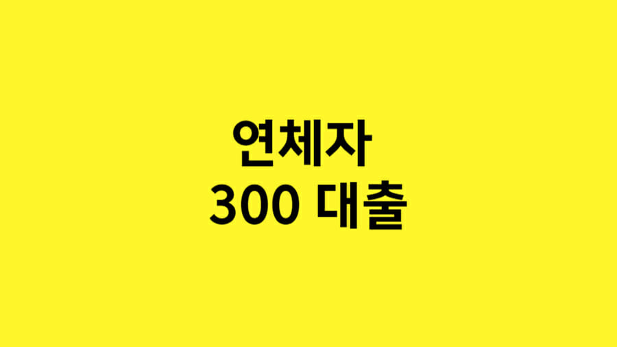 연체자 300 대출