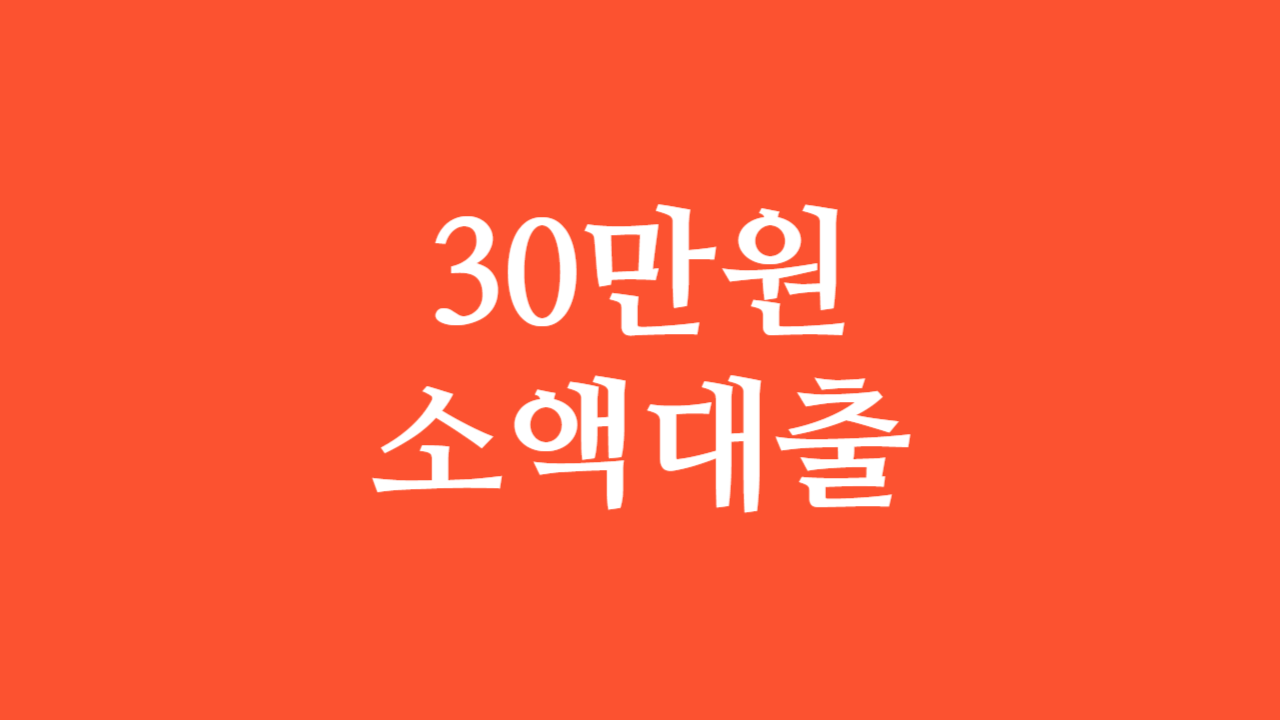 30만원 소액대출