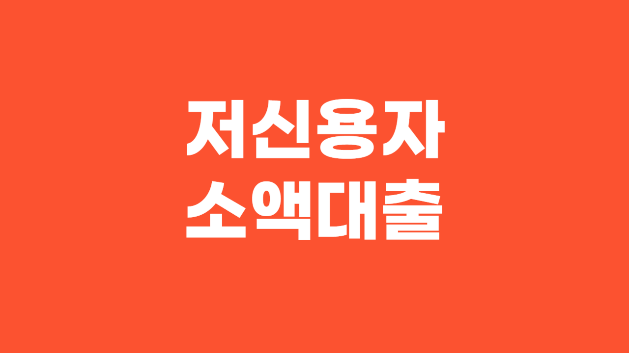 저신용 소액대출