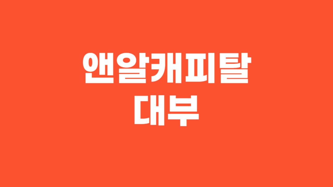 앤알캐피탈대부